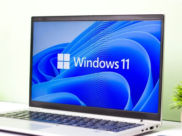 Windows 11