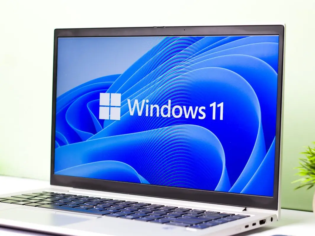 Windows 11